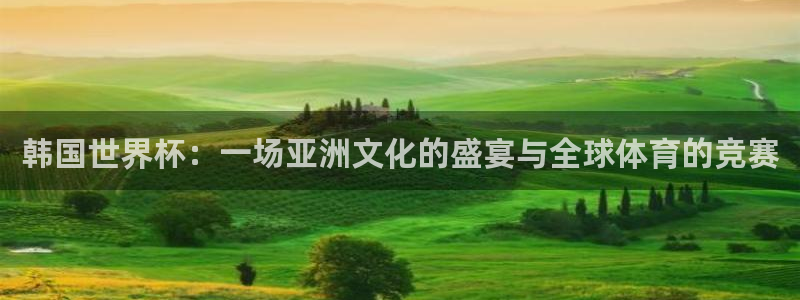 世界杯今日赛程直播:韩国世界杯:一场亚洲文化的盛宴与全球体育的竞赛
