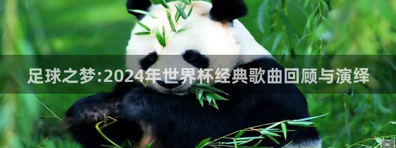 2026世界杯倒计时:足球之梦:2024年世界杯经典歌曲回顾与演绎