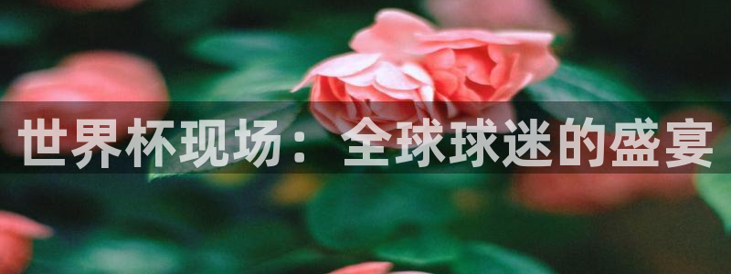 足球杯:世界杯现场:全球球迷的盛宴