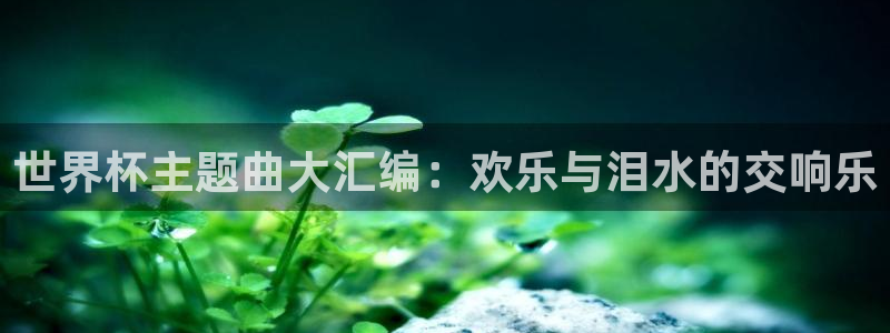 世界杯:世界杯主题曲大汇编:欢乐与泪水的交响乐