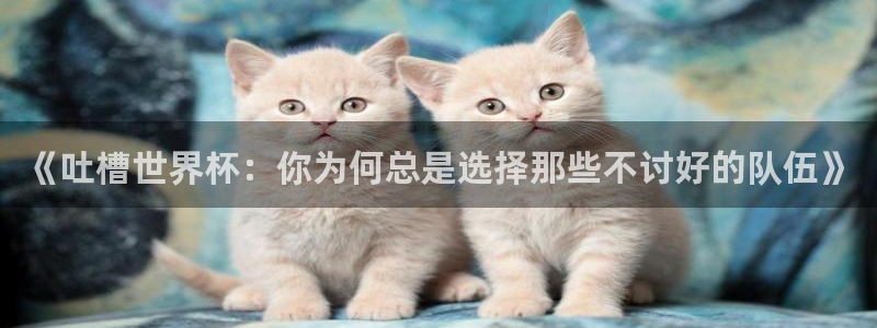 免费足球比赛直播高清:《吐槽世界杯:你为何总是选择那些不讨好的队伍》