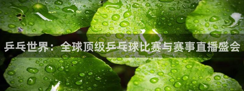 亚洲区世界杯预选赛:乒乓世界:全球顶级乒乓球比赛与赛事直播盛会