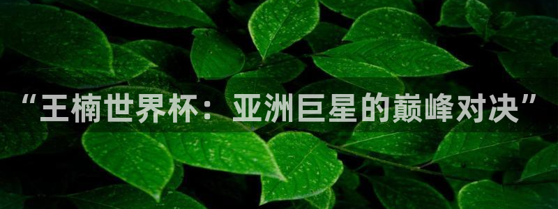 2026男足世界杯赛程:“王楠世界杯:亚洲巨星的巅峰对决”