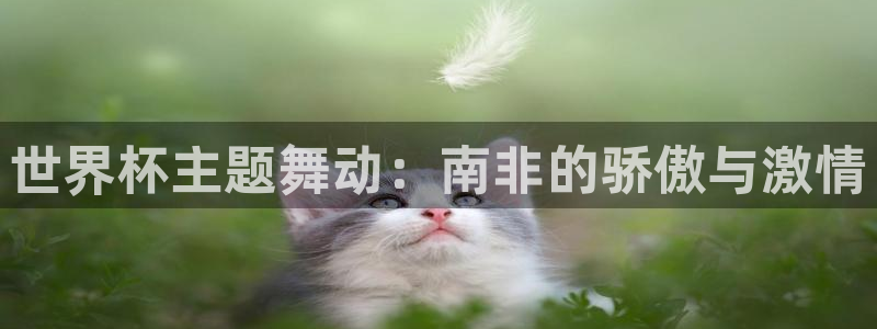 世界杯预选赛亚洲区积分榜:世界杯主题舞动:南非的骄傲与激情